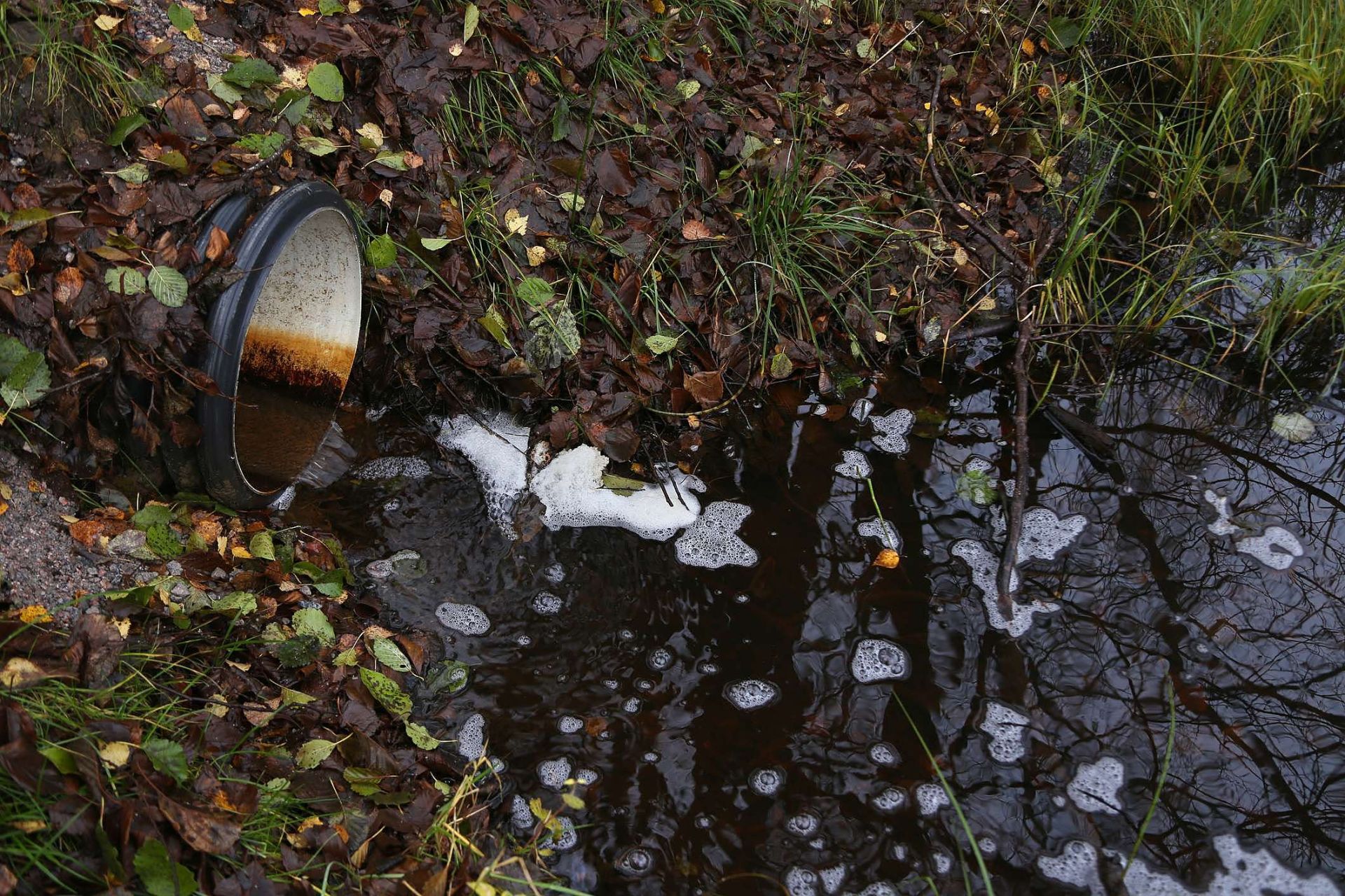 As Plantações de Soja e o Impacto Ambiental causado na Água e Solo